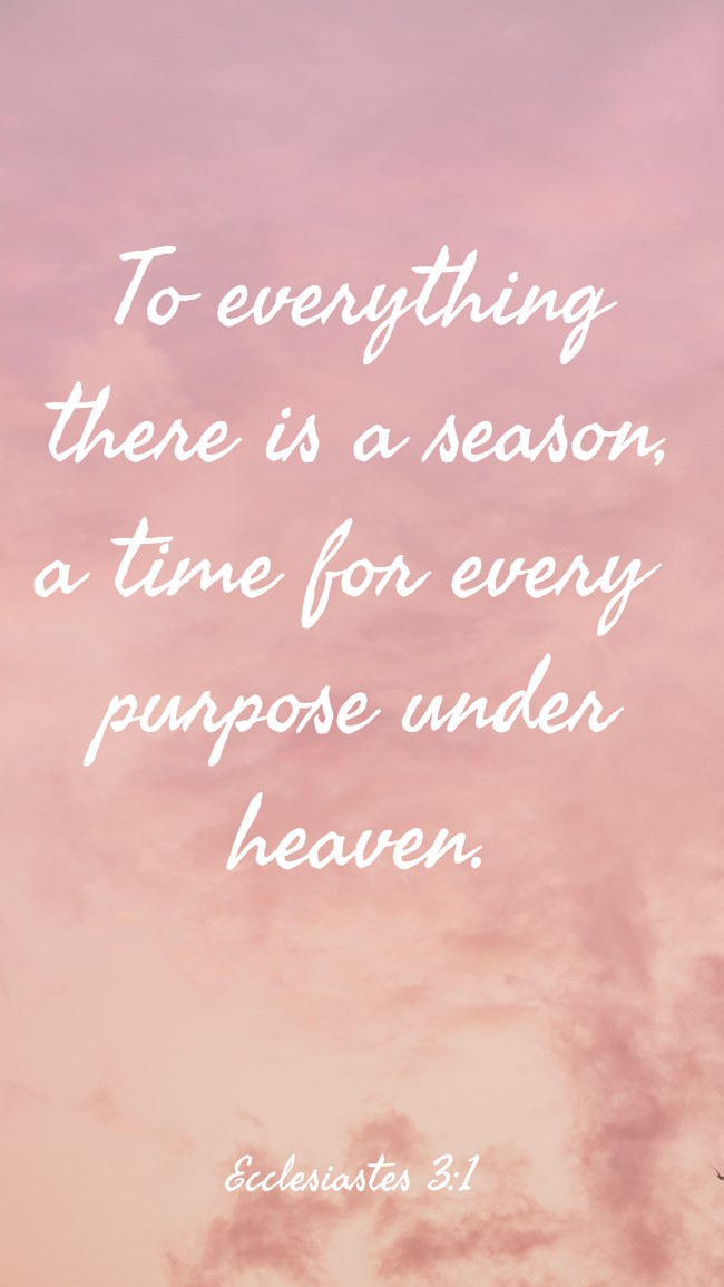 To everything there is a season, a time for every purpose under heaven. - Ecclesiastes 3:1