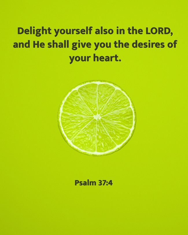 Delight yourself also in the LORD, and He shall give you the desires of your heart. - Psalm 37:4