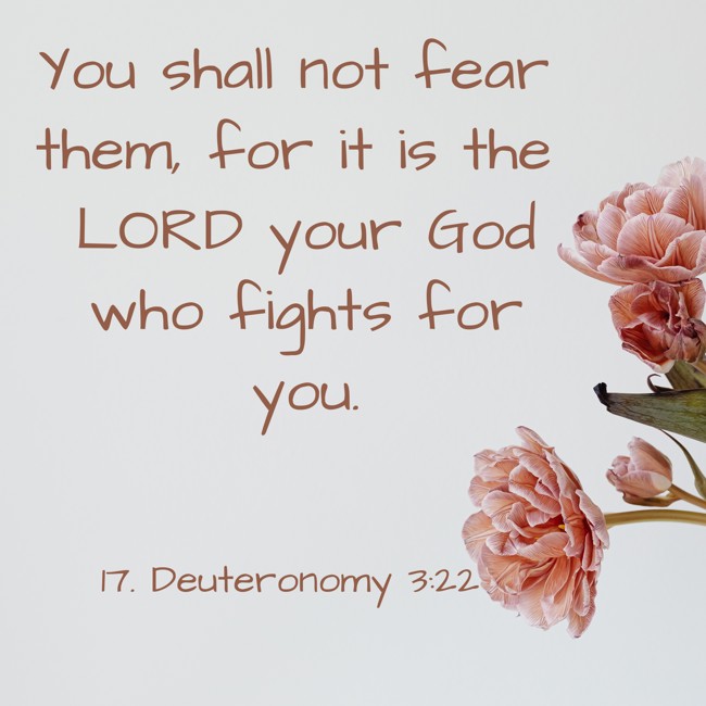 You shall not fear them, for it is the LORD your God who fights for you. - 17. Deuteronomy 3:22