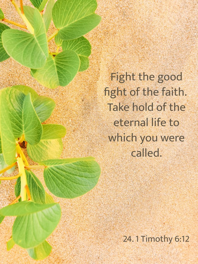 Fight the good fight of the faith. Take hold of the eternal life to which you were called. - 24. 1 Timothy 6:12