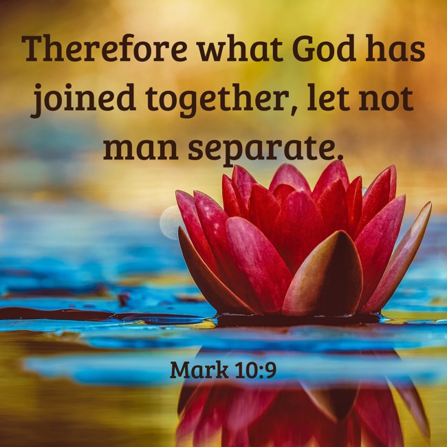 Therefore what God has joined together, let not man separate. - Mark 10:9