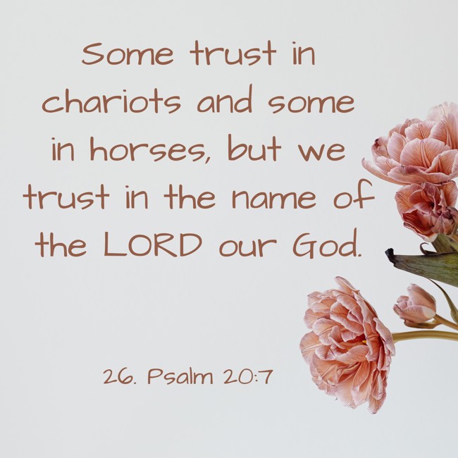 Some trust in chariots and some in horses, but we trust in the name of the LORD our God. - 26. Psalm 20:7