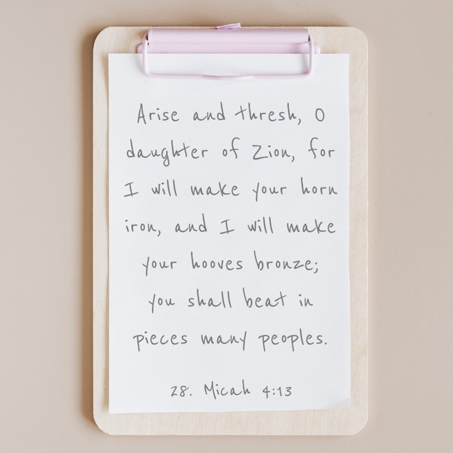 Arise and thresh, O daughter of Zion, for I will make your horn iron, and I will make your hooves bronze; you shall beat in pieces many peoples. - 28. Micah 4:13