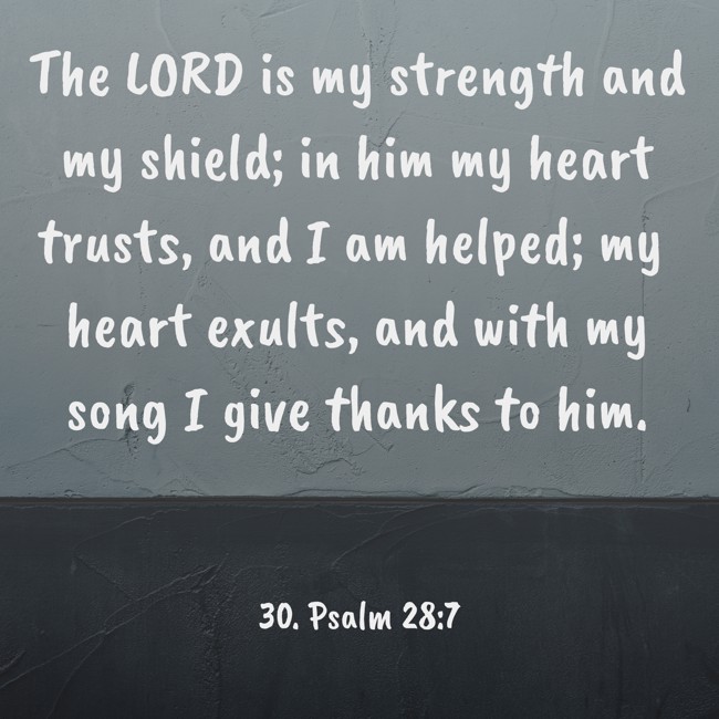 The LORD is my strength and my shield; in him my heart trusts, and I am helped; my heart exults, and with my song I give thanks to him. - 30. Psalm 28:7
