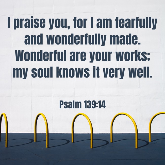 I praise you, for I am fearfully and wonderfully made. Wonderful are your works; my soul knows it very well. - Psalm 139:14