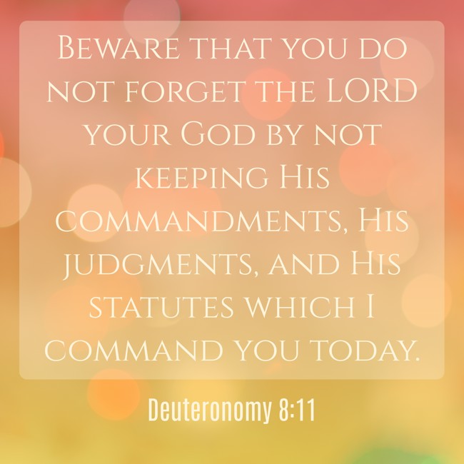 Beware that you do not forget the LORD your God by not keeping His commandments, His judgments, and His statutes which I command you today. - Deuteronomy 8:11