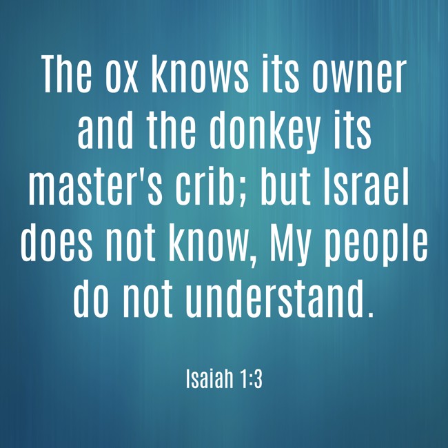 The ox knows its owner and the donkey its master's crib; but Israel does not know, My people do not understand. - Isaiah 1:3