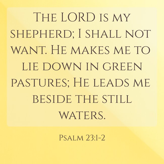 The LORD is my shepherd; I shall not want. He makes me to lie down in green pastures; He leads me beside the still waters. - Psalm 23:1-2