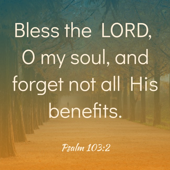 Bless the LORD, O my soul, and forget not all His benefits. - Psalm 103:2