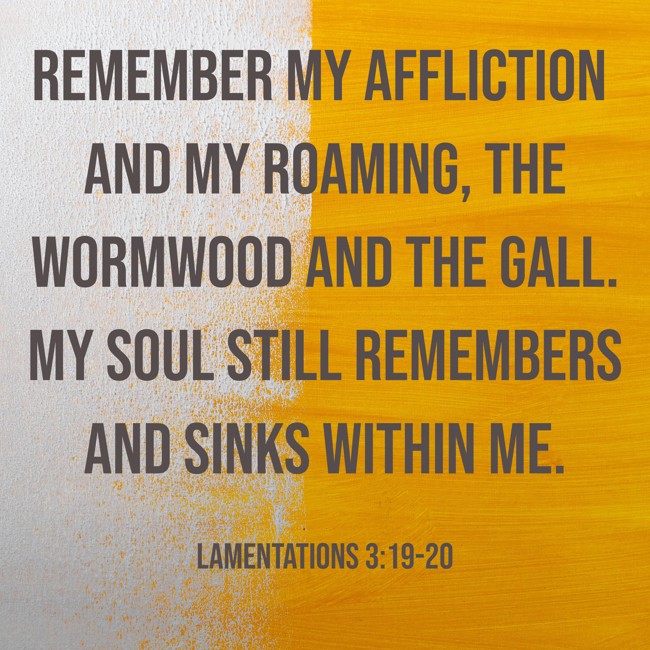 Remember my affliction and my roaming, the wormwood and the gall. My soul still remembers and sinks within me. - Lamentations 3:19-20