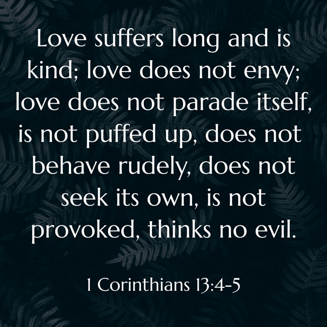 Love suffers long and is kind; love does not envy; love does not parade itself, is not puffed up, does not behave rudely, does not seek its own, is not provoked, thinks no evil. - 1 Corinthians 13:4-5