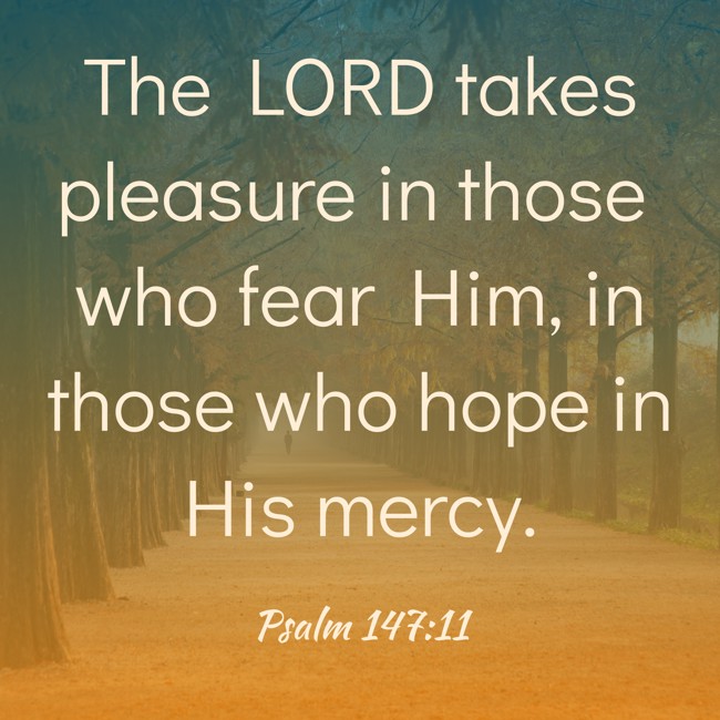 The LORD takes pleasure in those who fear Him, in those who hope in His mercy. - Psalm 147:11