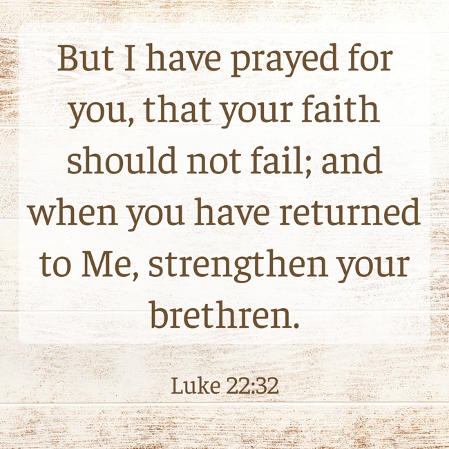 But I have prayed for you, that your faith should not fail; and when you have returned to Me, strengthen your brethren. - Luke 22:32