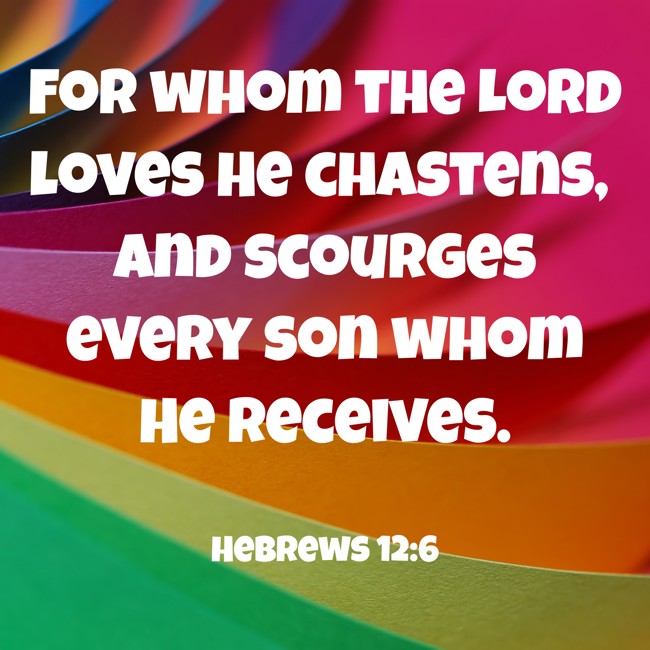For whom the Lord loves He chastens, and scourges every son whom He receives. - Hebrews 12:6