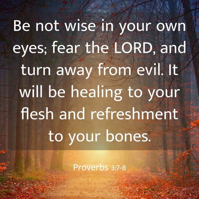 Be not wise in your own eyes; fear the LORD, and turn away from evil. It will be healing to your flesh and refreshment to your bones. - Proverbs 3:7-8