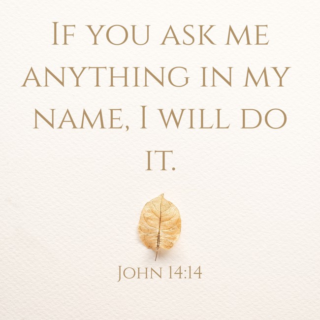 If you ask me anything in my name, I will do it. - John 14:14