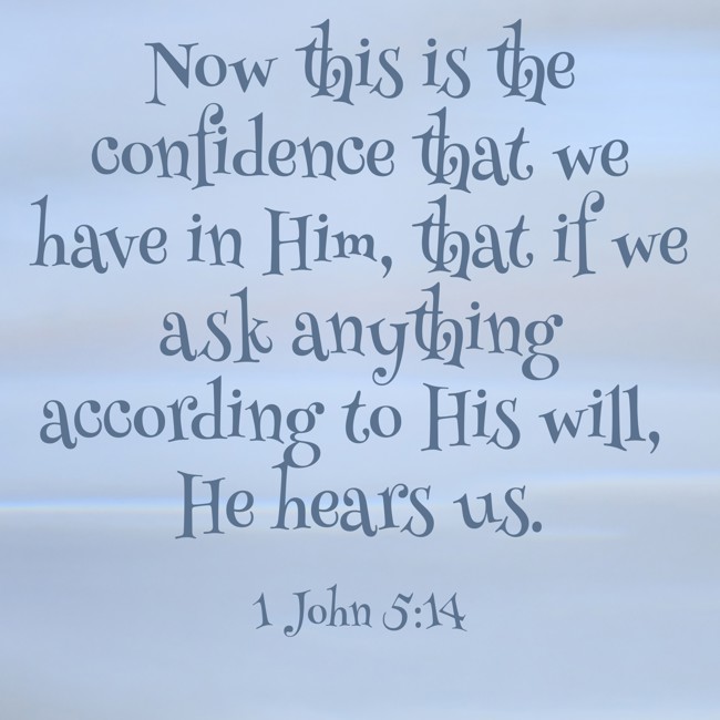 Now this is the confidence that we have in Him, that if we ask anything according to His will, He hears us. - 1 John 5:14