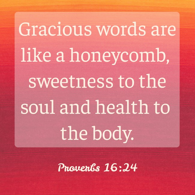 Gracious words are like a honeycomb, sweetness to the soul and health to the body. - Proverbs 16:24