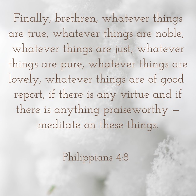 Finally, brethren, whatever things are true, whatever things are noble, whatever things are just, whatever things are pure, whatever things are lovely, whatever things are of good report, if there is any virtue and if there is anything praiseworthy — meditate on these things. - Philippians 4:8