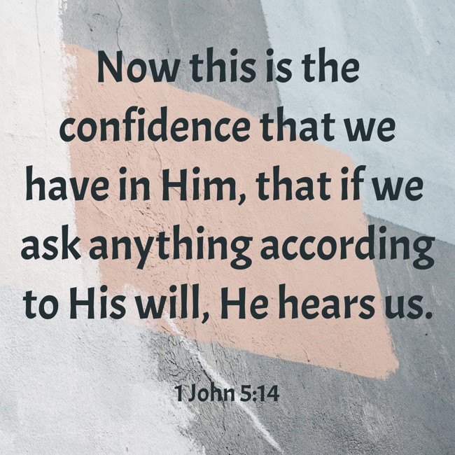 Now this is the confidence that we have in Him, that if we ask anything according to His will, He hears us. - 1 John 5:14