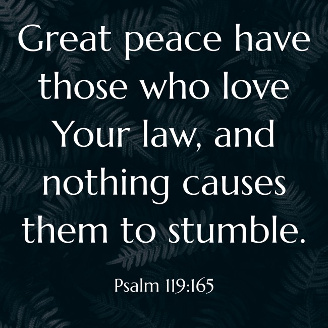 Great peace have those who love Your law, and nothing causes them to stumble. - Psalm 119:165