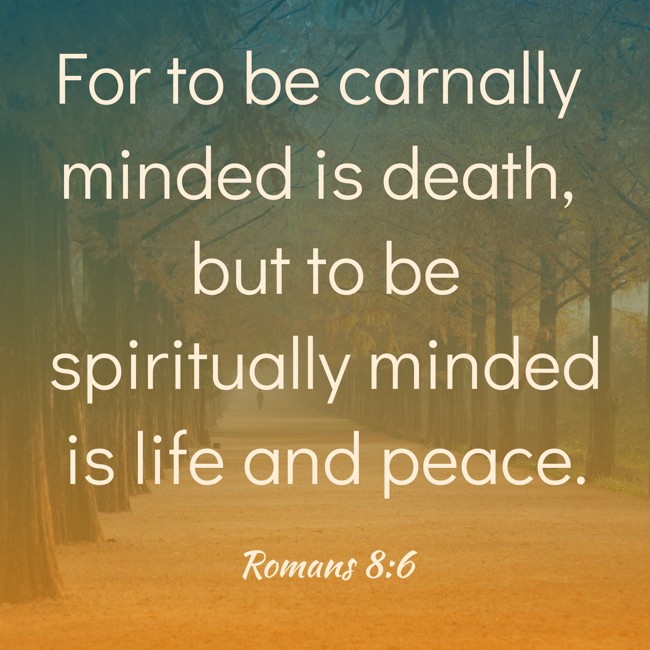For to be carnally minded is death, but to be spiritually minded is life and peace. - Romans 8:6