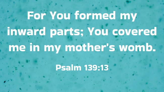 For You formed my inward parts; You covered me in my mother's womb. - Psalm 139:13