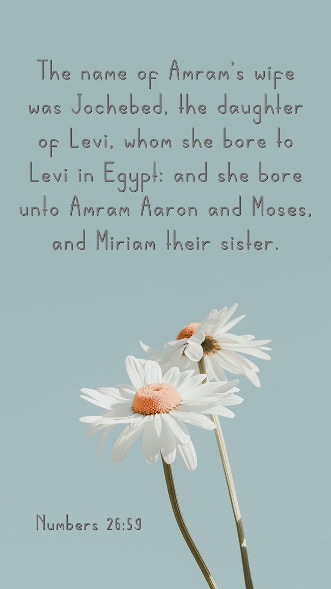 The name of Amram's wife was Jochebed, the daughter of Levi, whom she bore to Levi in Egypt: and she bore unto Amram Aaron and Moses, and Miriam their sister. - Numbers 26:59