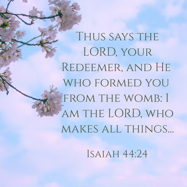 Thus says the LORD, your Redeemer, and He who formed you from the womb: I am the LORD, who makes all things... - Isaiah 44:24