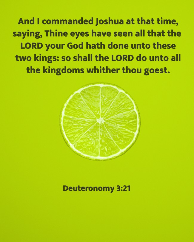 And I commanded Joshua at that time, saying, Thine eyes have seen all that the LORD your God hath done unto these two kings: so shall the LORD do unto all the kingdoms whither thou goest. - Deuteronomy 3:21