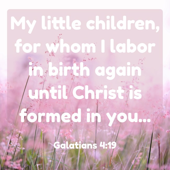 My little children, for whom I labor in birth again until Christ is formed in you... - Galatians 4:19