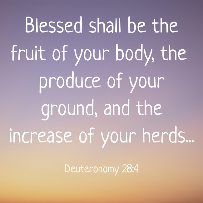 Blessed shall be the fruit of your body, the produce of your ground, and the increase of your herds... - Deuteronomy 28:4