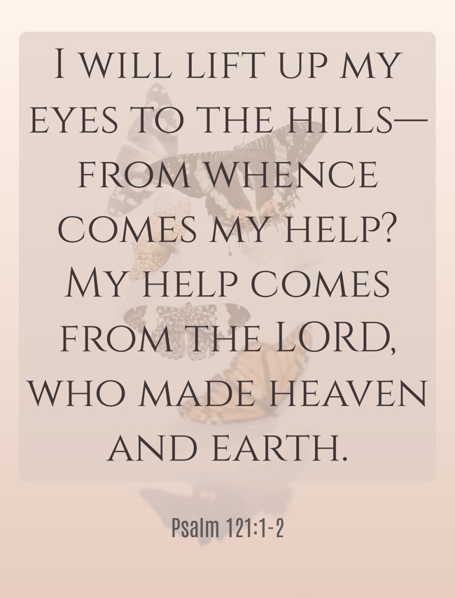 I will lift up my eyes to the hills— from whence comes my help? My help comes from the LORD, who made heaven and earth. - Psalm 121:1-2