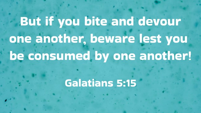 But if you bite and devour one another, beware lest you be consumed by one another! - Galatians 5:15