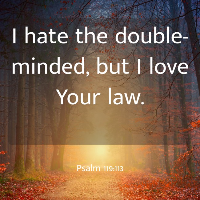 I hate the double-minded, but I love Your law. - Psalm 119:113