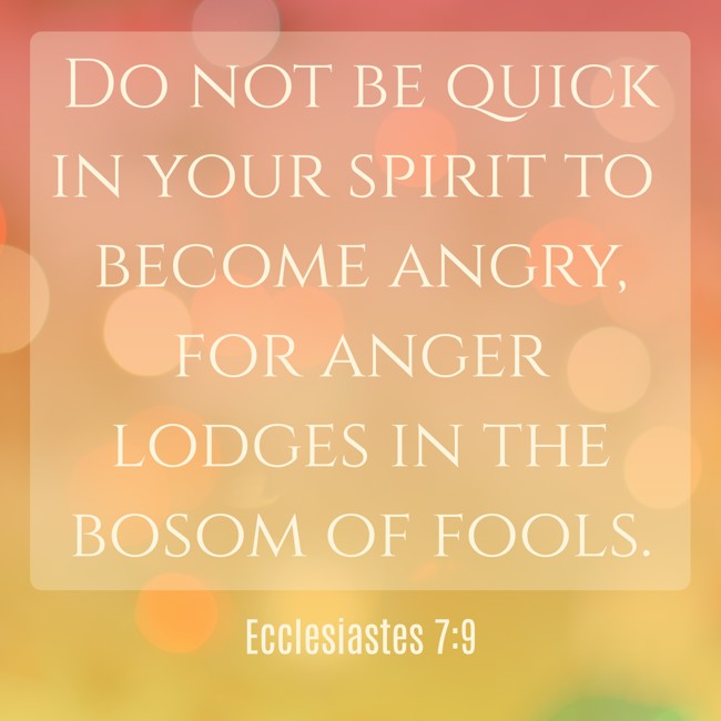 Do not be quick in your spirit to become angry, for anger lodges in the bosom of fools. - Ecclesiastes 7:9