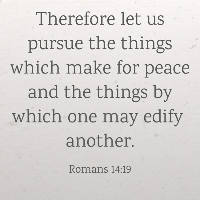 Therefore let us pursue the things which make for peace and the things by which one may edify another. - Romans 14:19