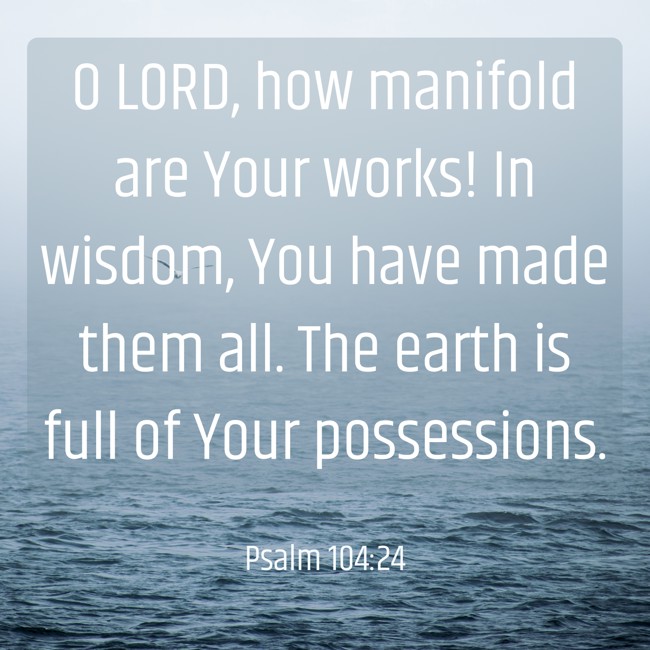 O LORD, how manifold are Your works! In wisdom, You have made them all. The earth is full of Your possessions. - Psalm 104:24