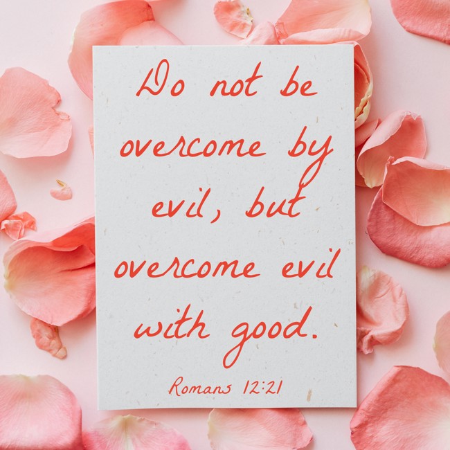 Do not be overcome by evil, but overcome evil with good. - Romans 12:21