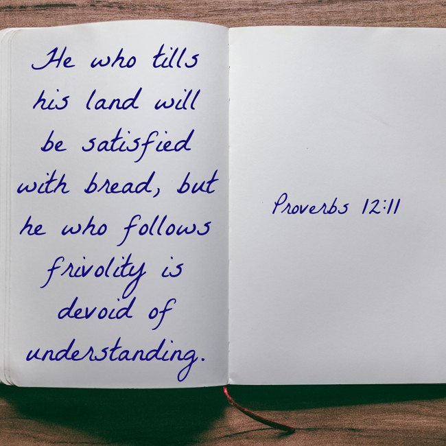 He who tills his land will be satisfied with bread, but he who follows frivolity is devoid of understanding. - Proverbs 12:11