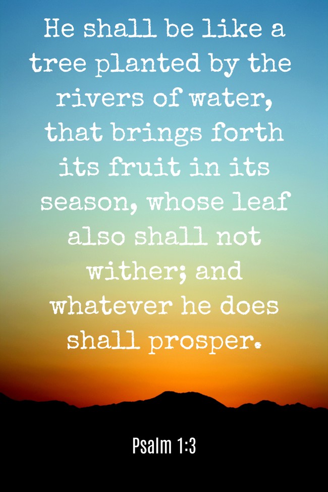 He shall be like a tree planted by the rivers of water, that brings forth its fruit in its season, whose leaf also shall not wither; and whatever he does shall prosper. - Psalm 1:3