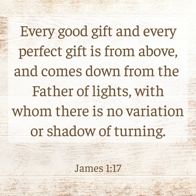 Every good gift and every perfect gift is from above, and comes down from the Father of lights, with whom there is no variation or shadow of turning. - James 1:17