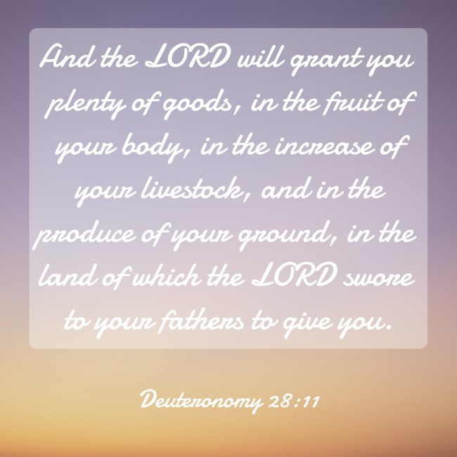 And the LORD will grant you plenty of goods, in the fruit of your body, in the increase of your livestock, and in the produce of your ground, in the land of which the LORD swore to your fathers to give you. - Deuteronomy 28:11