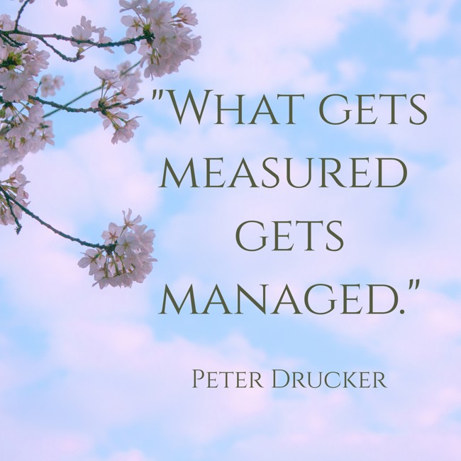 What gets measured gets managed. - Peter Drucker