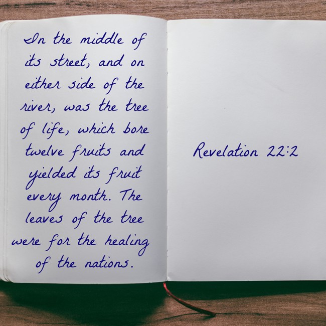 In the middle of its street, and on either side of the river, was the tree of life, which bore twelve fruits and yielded its fruit every month. The leaves of the tree were for the healing of the nations. - Revelation 22:2