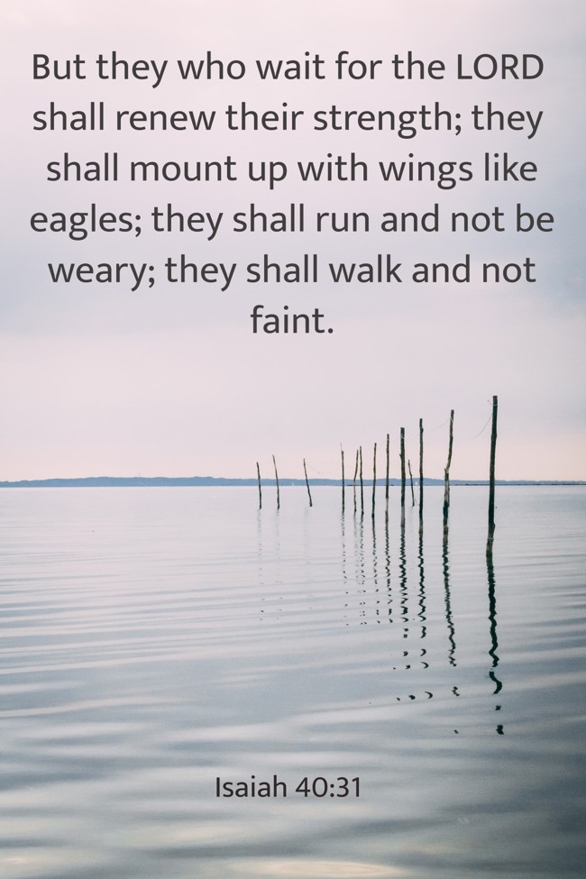 But they who wait for the LORD shall renew their strength; they shall mount up with wings like eagles; they shall run and not be weary; they shall walk and not faint. - Isaiah 40:31