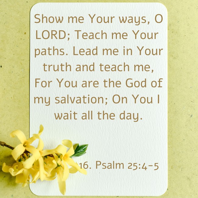 Show me Your ways, O LORD; Teach me Your paths. Lead me in Your truth and teach me, For You are the God of my salvation; On You I wait all the day. - 16. Psalm 25:4-5