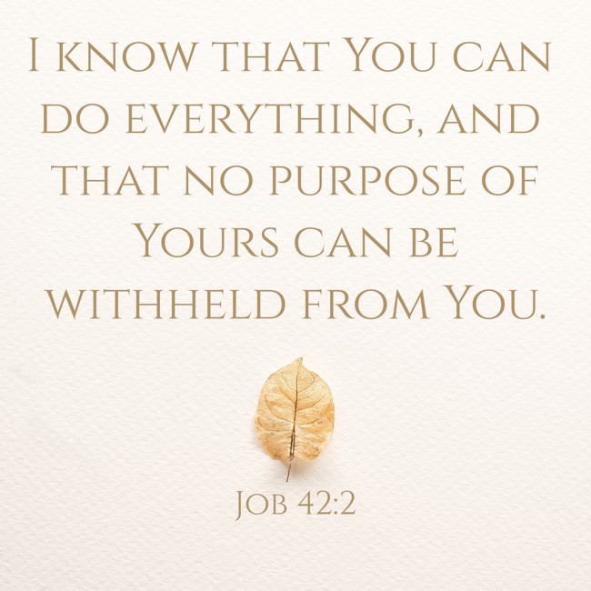 I know that You can do everything, and that no purpose of Yours can be withheld from You. - Job 42:2
