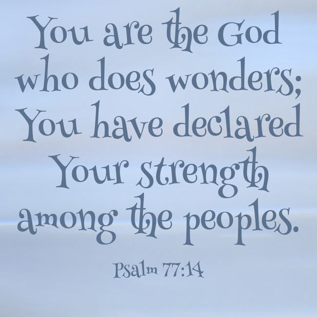 You are the God who does wonders; You have declared Your strength among the peoples. - Psalm 77:14