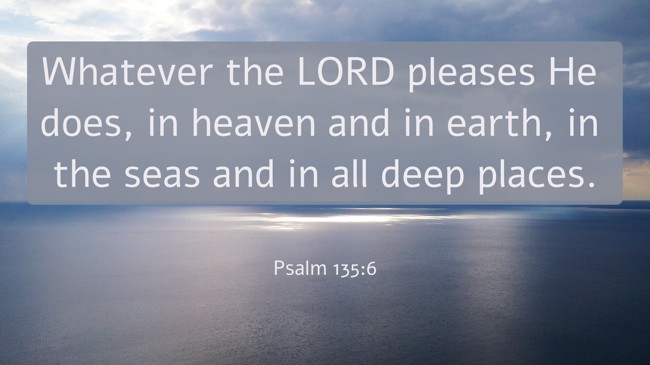 Whatever the LORD pleases He does, in heaven and in earth, in the seas and in all deep places. - Psalm 135:6